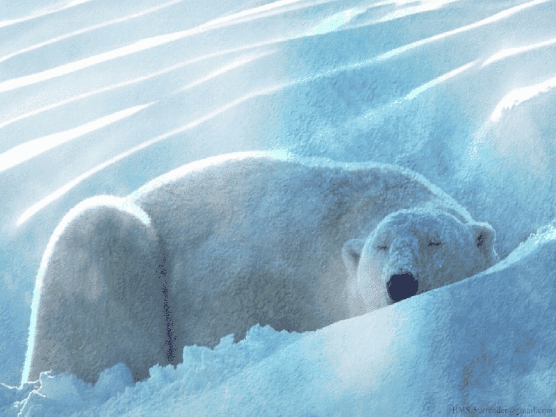 德阳健康试管价格（试管方案遇上春节）——