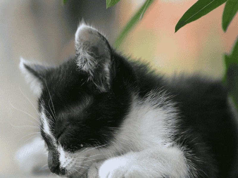 杭州代怀最好医院,泰国试管价格高吗？-杭州有没有供卵机构_杭州供卵试管医院